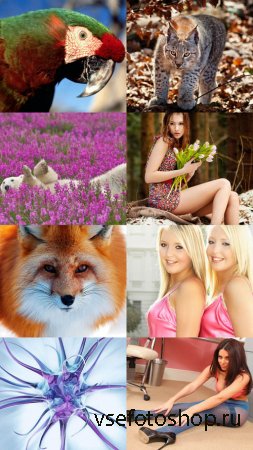 Collection of Different Wallpapers Set 66