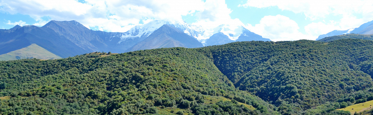 Лето косметика