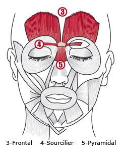le-botox-pour-les-joueurs-de-poker