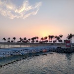 IMG_20191107_172929603_HDR