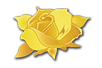 Yellow Rose Jeans